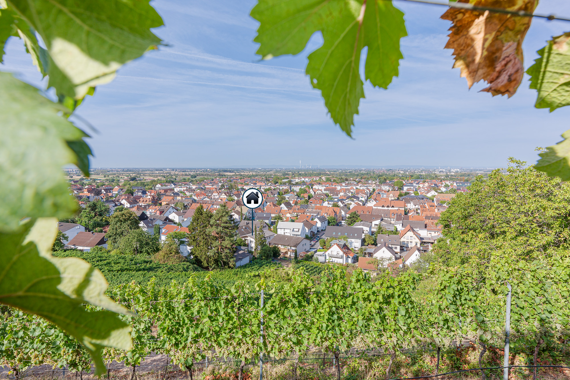 Objekt-ID 2103 Zweifamilienhaus Schriesheim, Weinberg Ansicht, Kamil Trojan Design