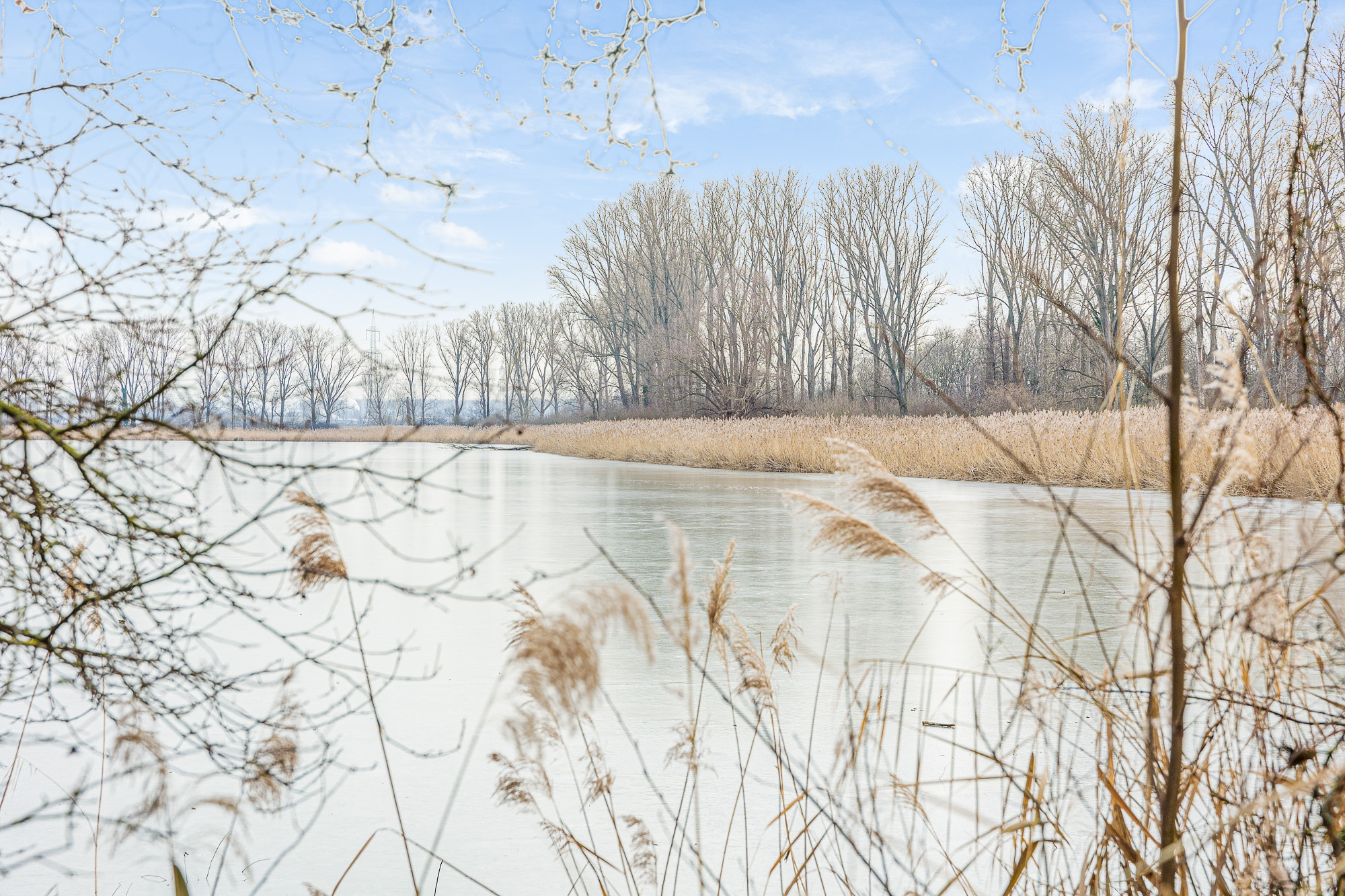 Objekt-ID 2116 Bobenheim-Roxheim