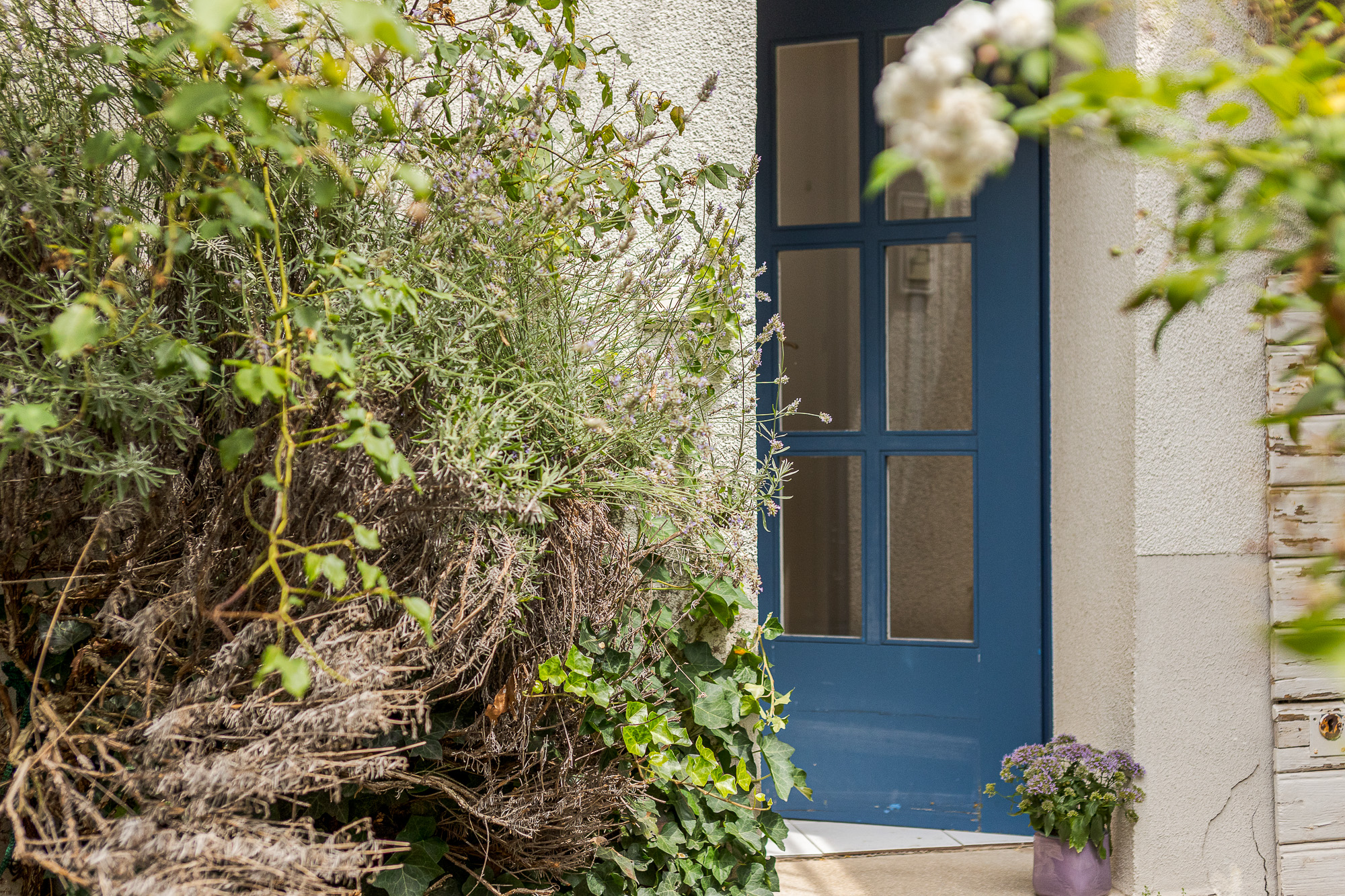 Objekt-ID 2134 Immobilie Dossenheim, Detailshot Tür