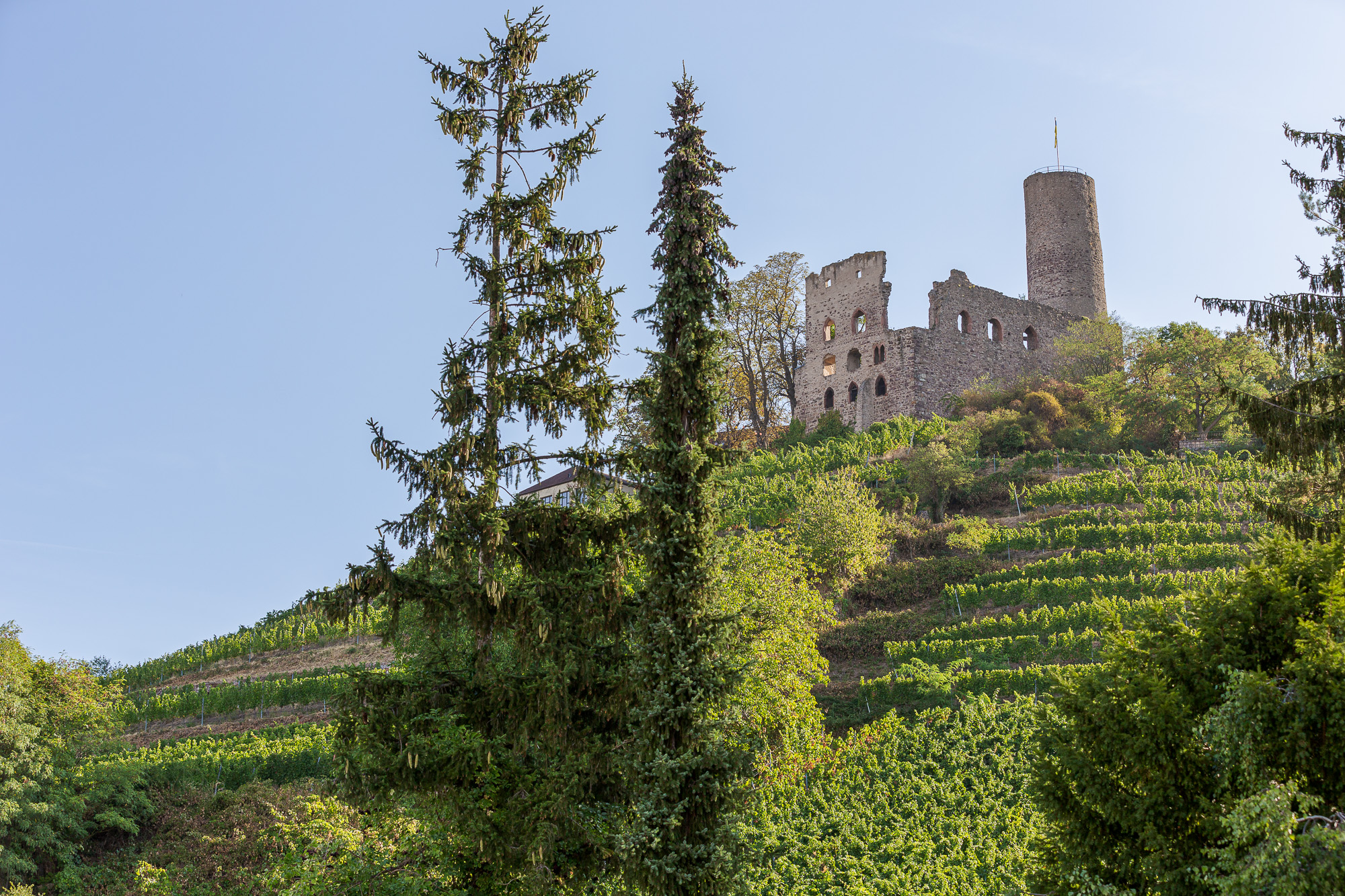 Strahlenburg Schriesheim, Kamil Trojan Design